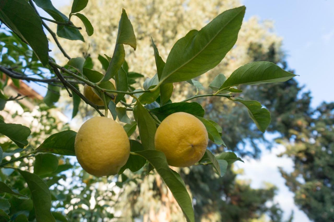 Glyfada Central 外观 照片